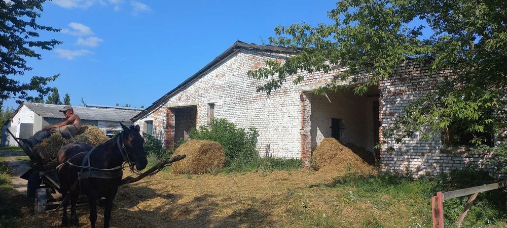 Корівник , ферма, складське приміщення