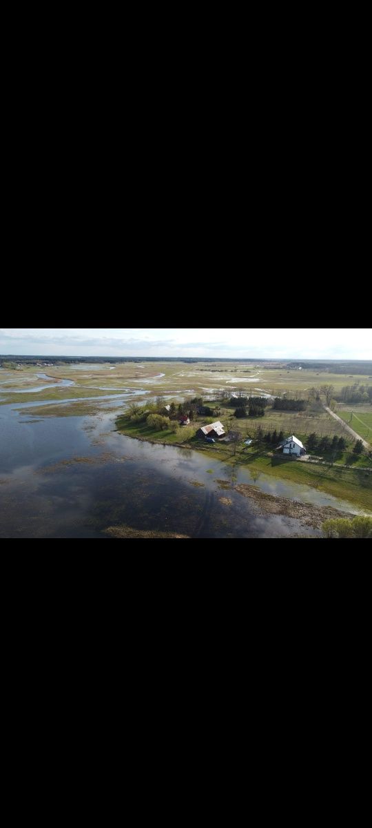 "Biebrza Starorzecze" domek nad Biebrzą