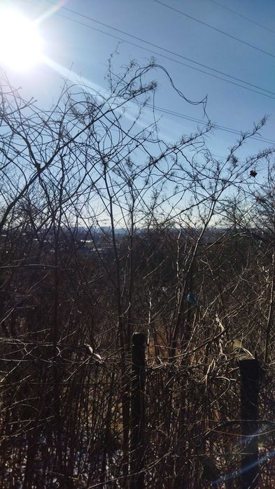 Ділянка 6 сот Клепарів,  Холодна-Виниця