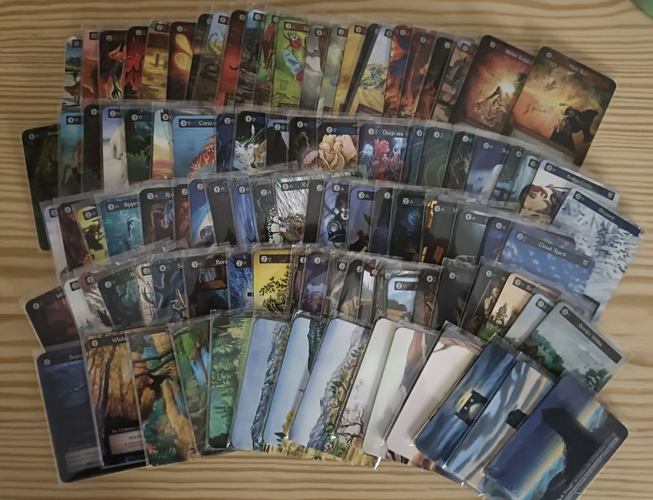 Sorcery Contested Realm Beta Ordinary Full Playset