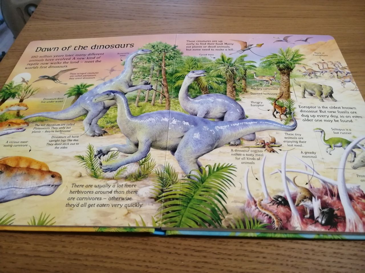 Świat dinozaurów z okienkami po angielsku