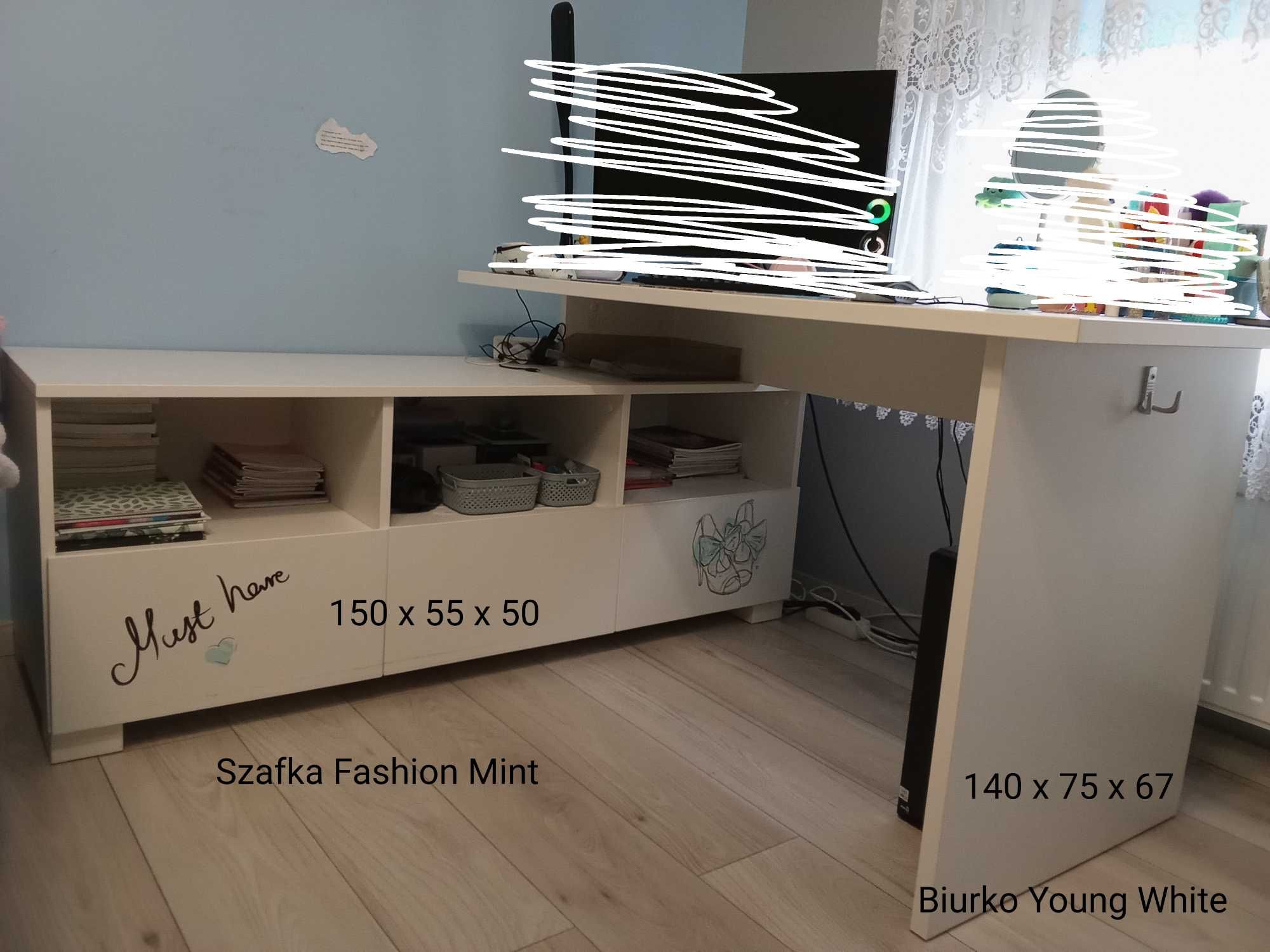 Meble młodzieżowe do pokoju