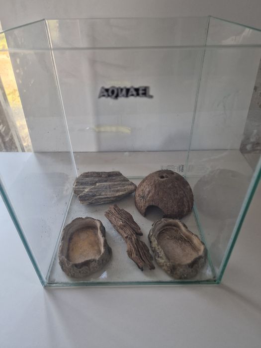 Małe akwarium z dodatkami