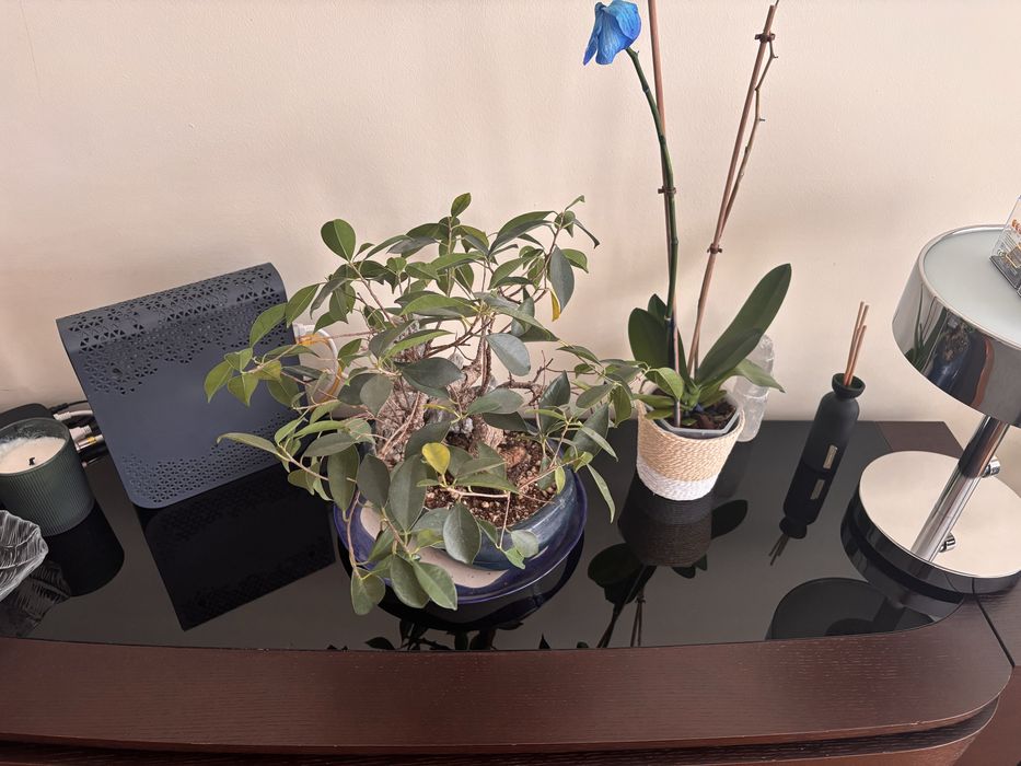 Móvel castanho de madeira