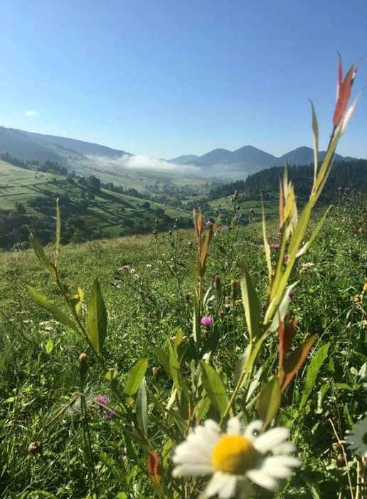 Відпочинок у Карпатах. Славське. Окремий будинок! ГК"Захар Беркут "