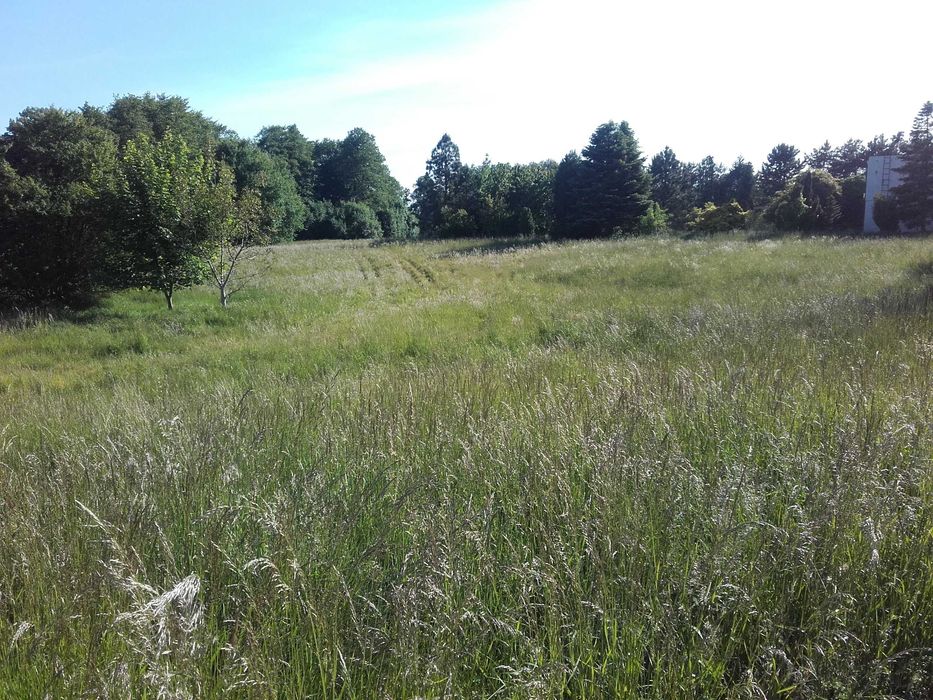 Śliczna działka w Słupcy otoczona łąkami 14 arów.