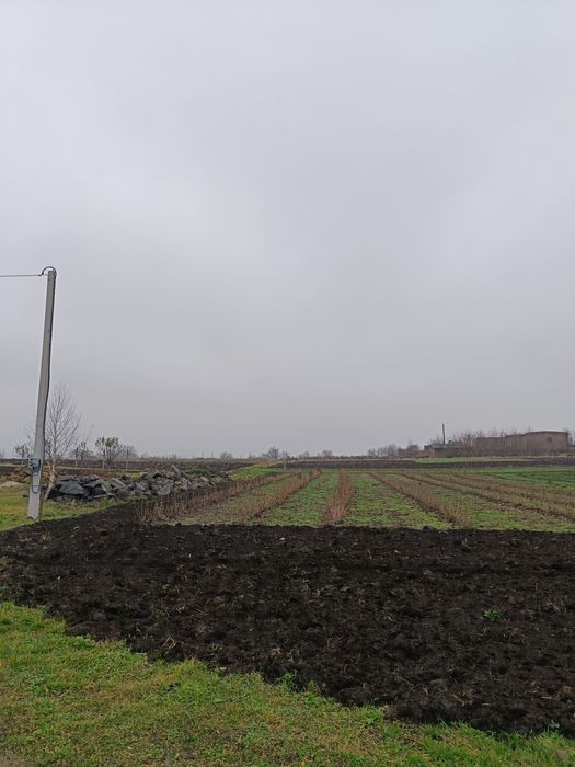 Земельна ділянка