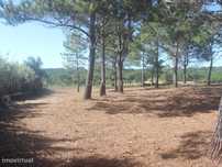 Terreno urbano com 1500m2 em Janas