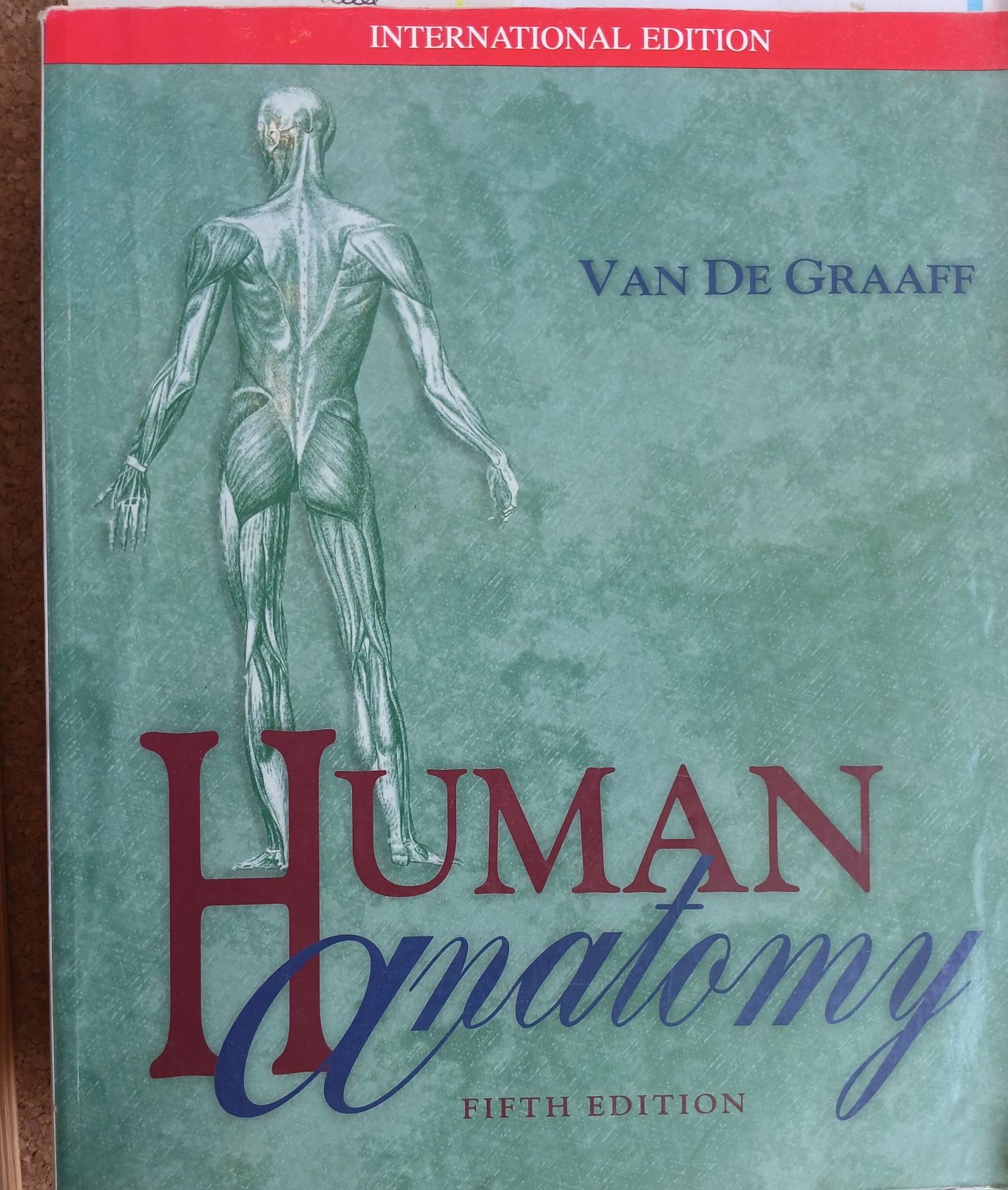 Livros de Fisiologia, Anatomia e Atlas Netter (cabeça e pescoço)