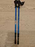 Kijki do nordic walking