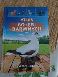 Atlas gołębi barwnych