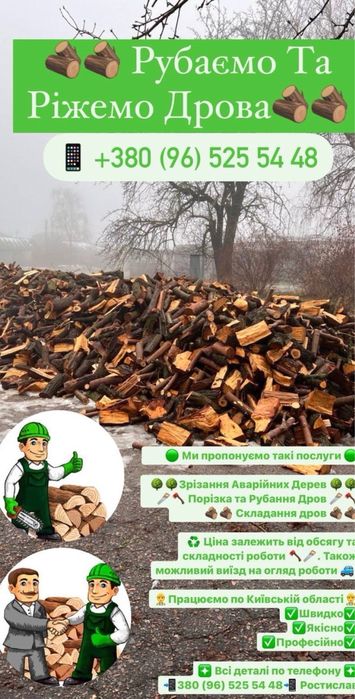 Зрізання аварійних дерев , чистка тереторій, вирізка ділянок .