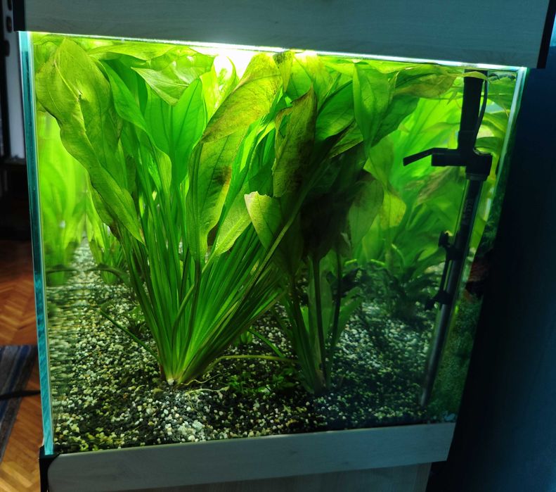 Akwarium 250l z pełnym osprzętem