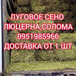 СЕНО 2025 СІНО В ТЮКАХ посевное и др. Доставка, объёмы, есть б.н.