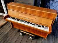 Pianino PETROF 103cm 1969r JASNY kolor drewna