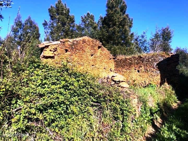 Terreno c/ruína - T2287/19