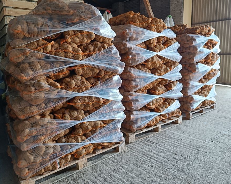 Ziemniaki jadalne Baltic rose/ Jurek/ Magnolia/