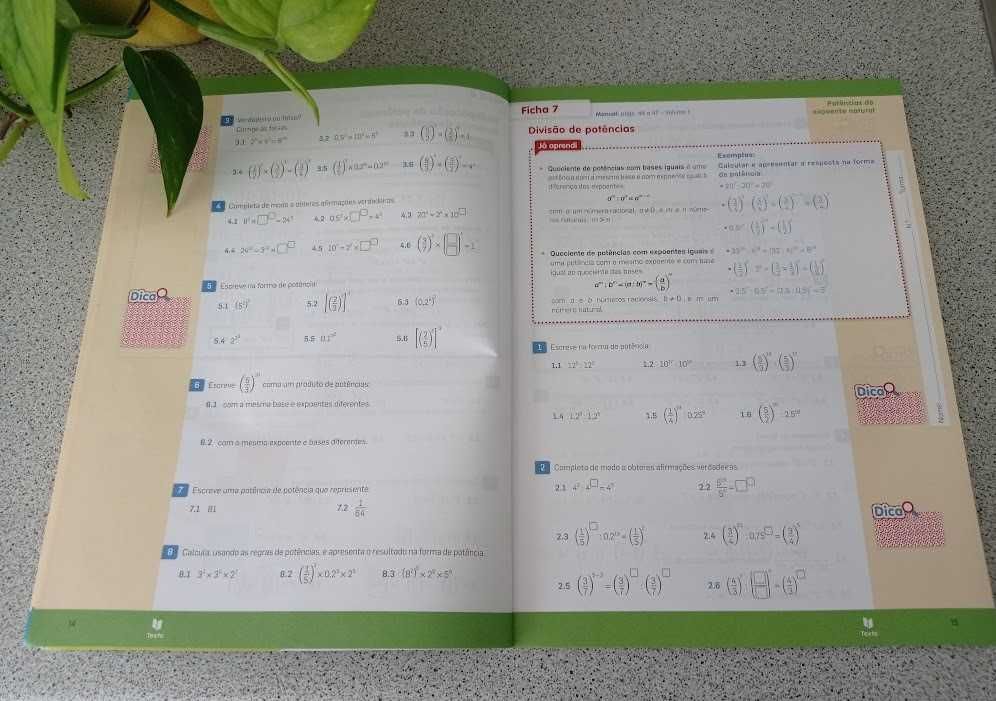 Cadernos de Exercícios -Matemática e TPC diversas disciplinas -6.º ano