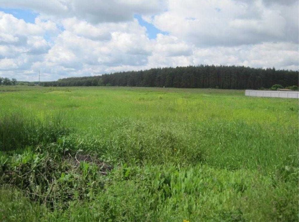 ‼️ Верхоли ‼️ Власник. Земельна ділянка під забудову. Комунікаціі