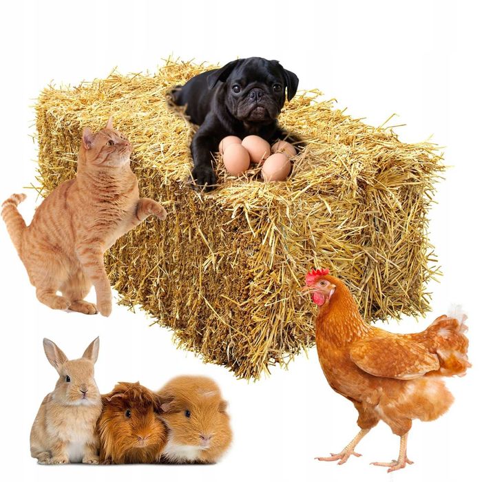 SŁOMA ściółka dla psa, gryzoni idealna do ROLNICTWA 4KG 80L