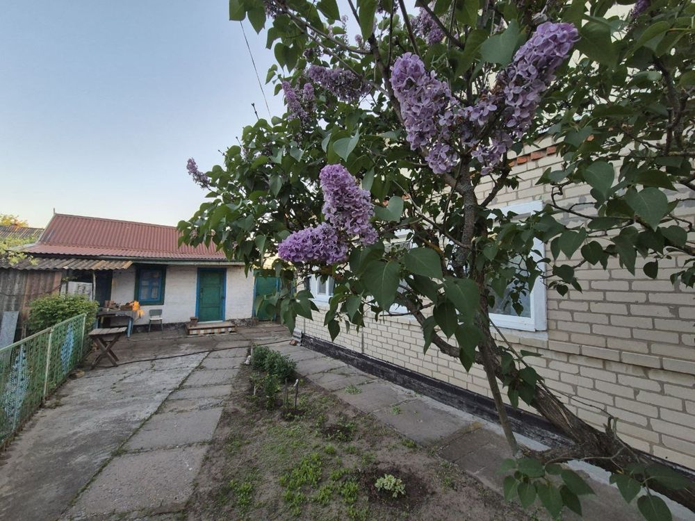 Продам дом в Хащевом