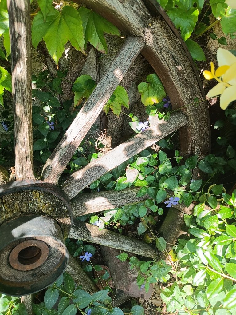 Stare duże koło drewniane 100cm