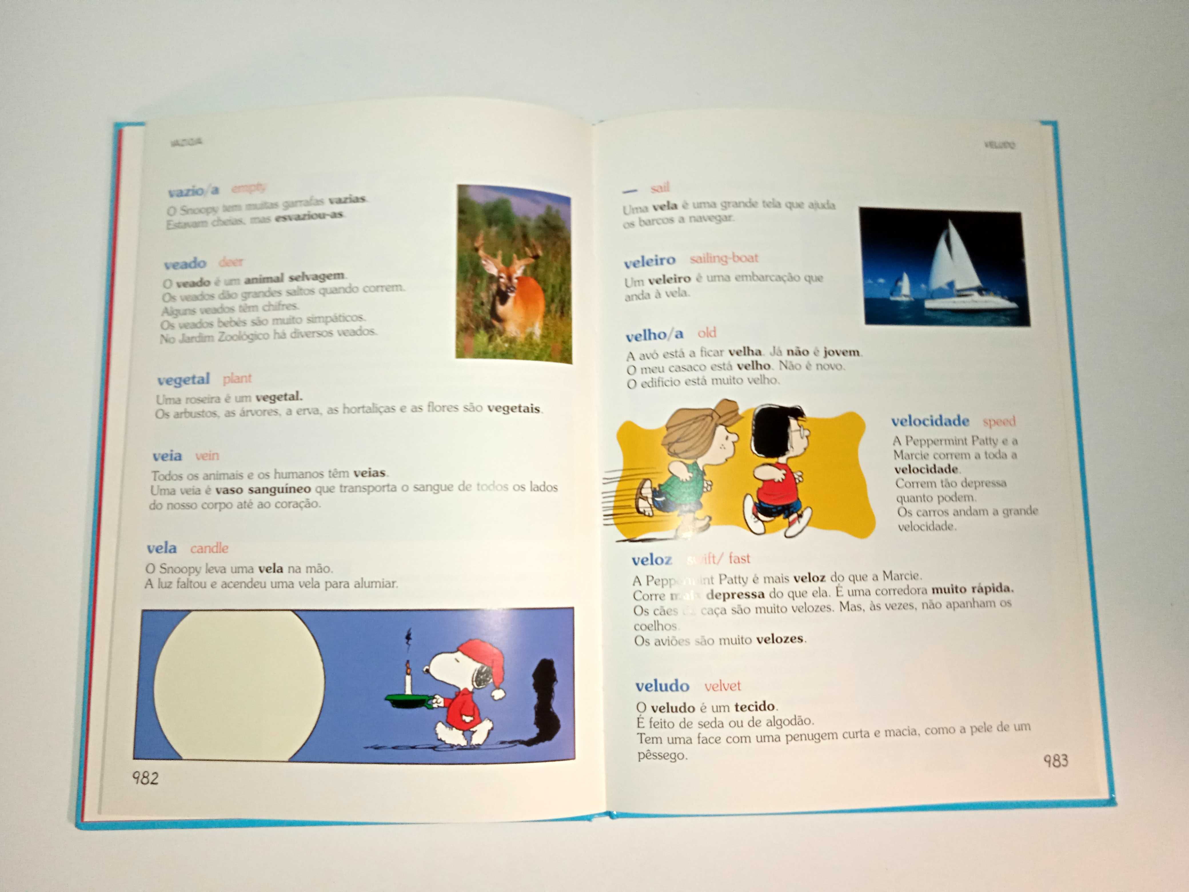 Dicionário ilustrado do Charlie Brown (português - Inglês)