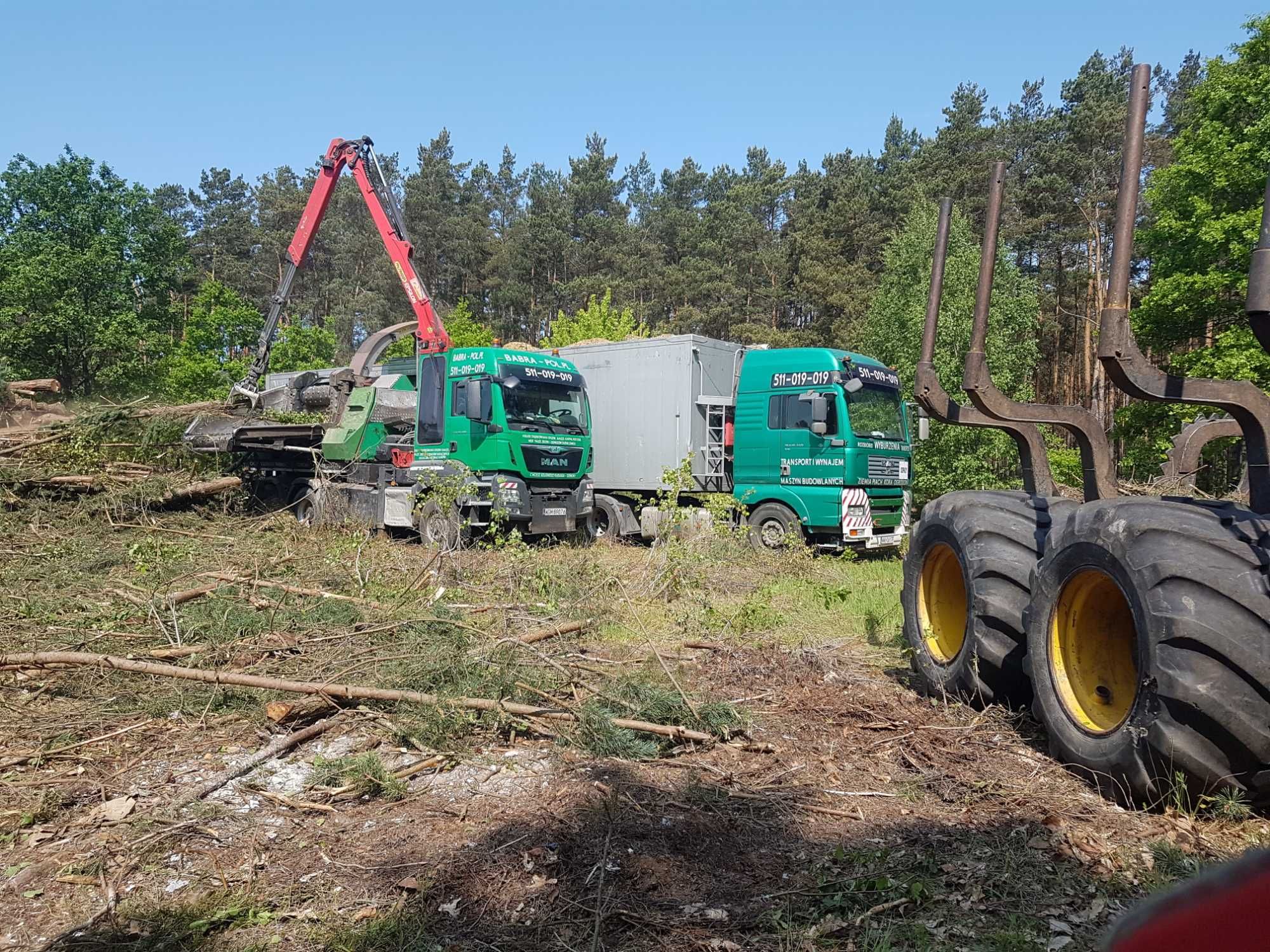 Wycinka samosiejek sadów drzew usługi zrywki Wynajem forwarder Ponsse