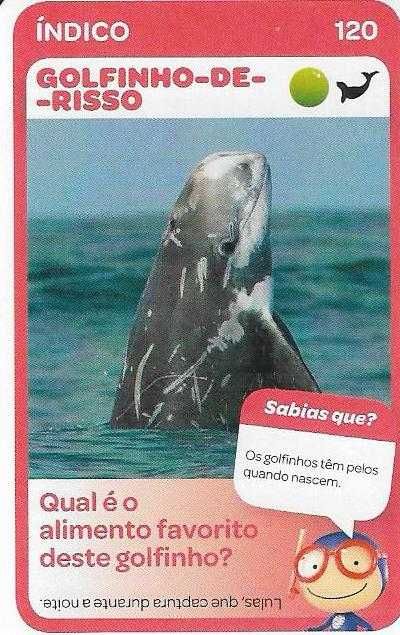 Super Animais 2 - - - Vida Marinha - Cartas Soltas Pingo Doce - Cromos