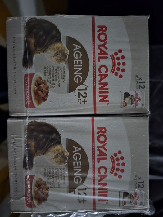 Royal canin ageing + 12  24saquetas