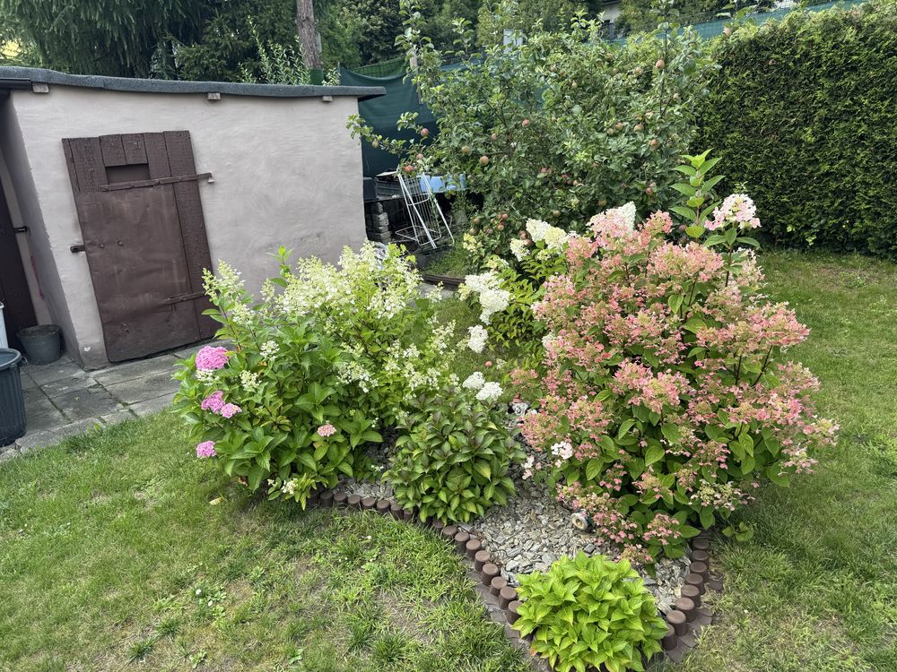 Ogródek dzialkowy ROD IRYS