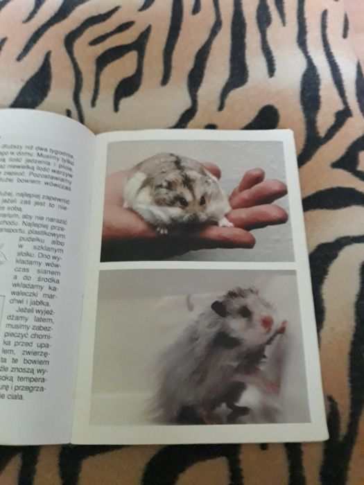 Książka o chomikach , chomik