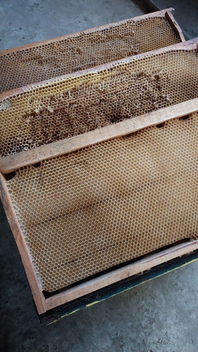 Продам  сушь для пчёл рамки, рута ,дадан есть с мёдом.