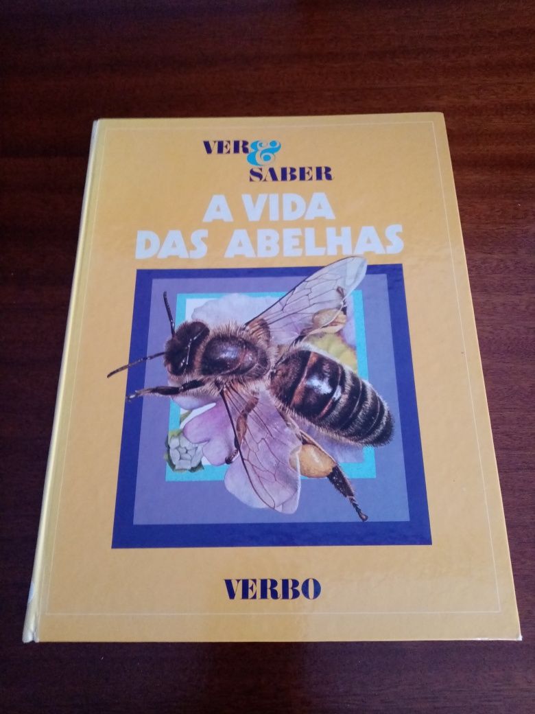A vida das abelhas e das vespas
