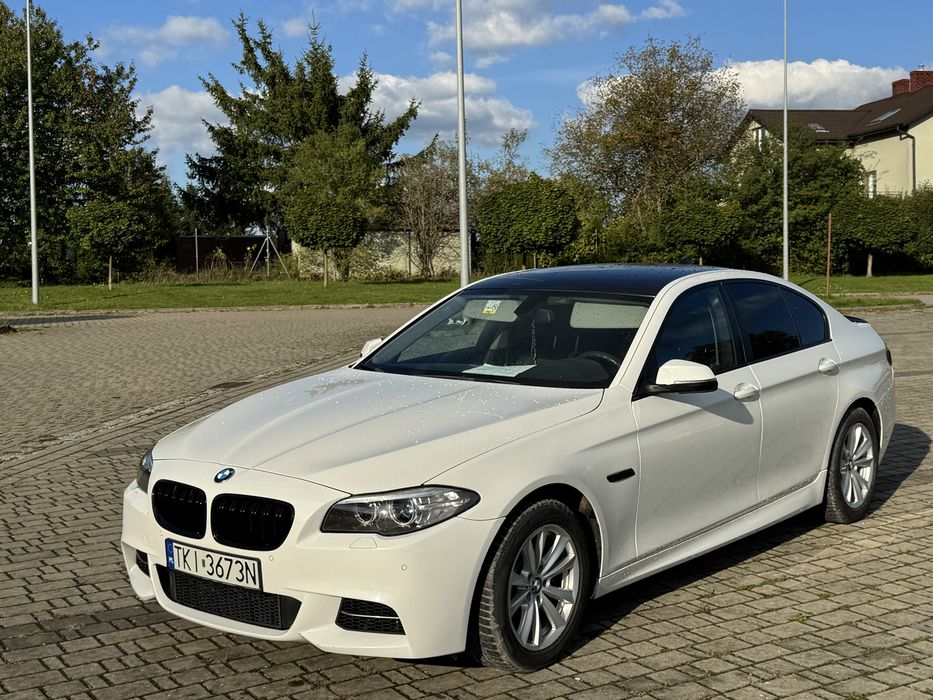 Bmw F10/salon polska /bezwypadkowy 520d