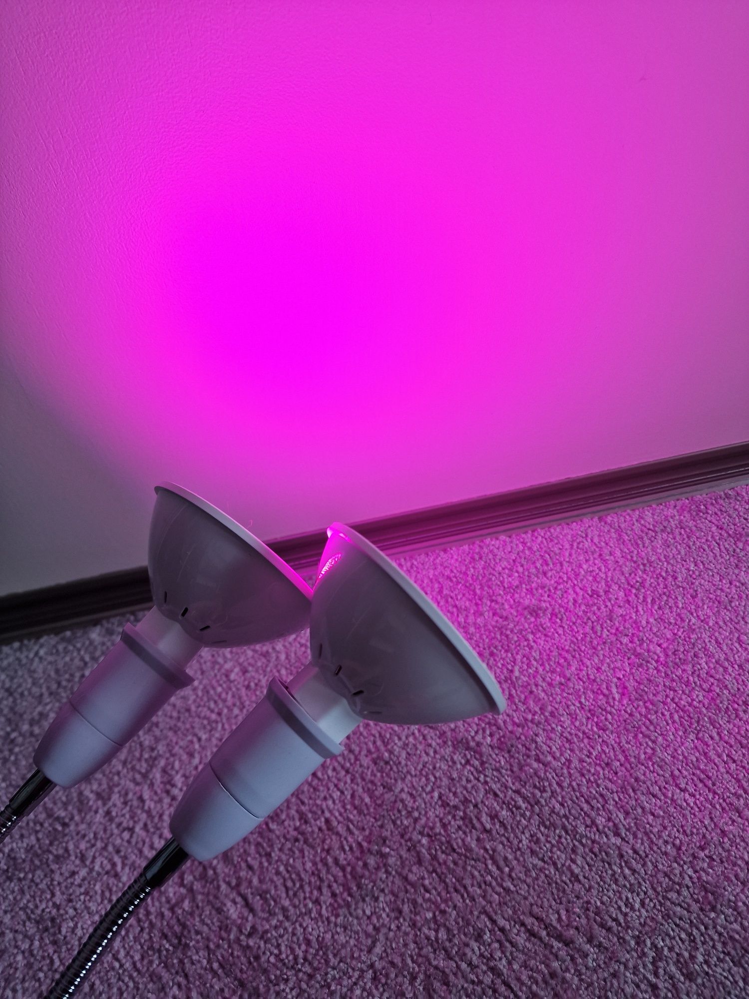 Lampa UV do kwiatów