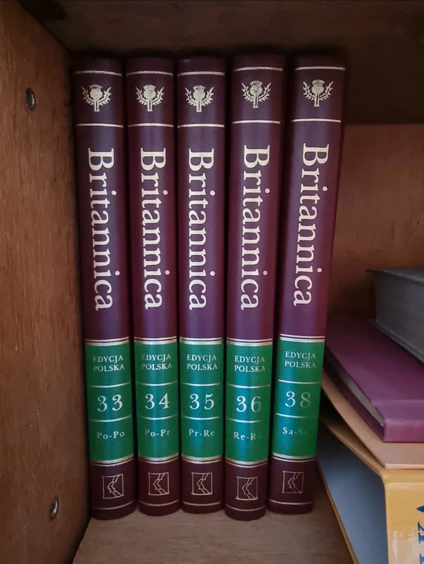 Britannica Encyklopedia edycja Polska wyd. Kurpisz 2001, 38 tomów