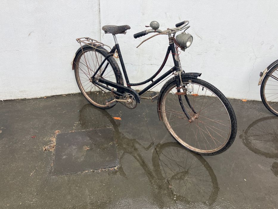 Pasteleira Marca Royal Enfield senhora