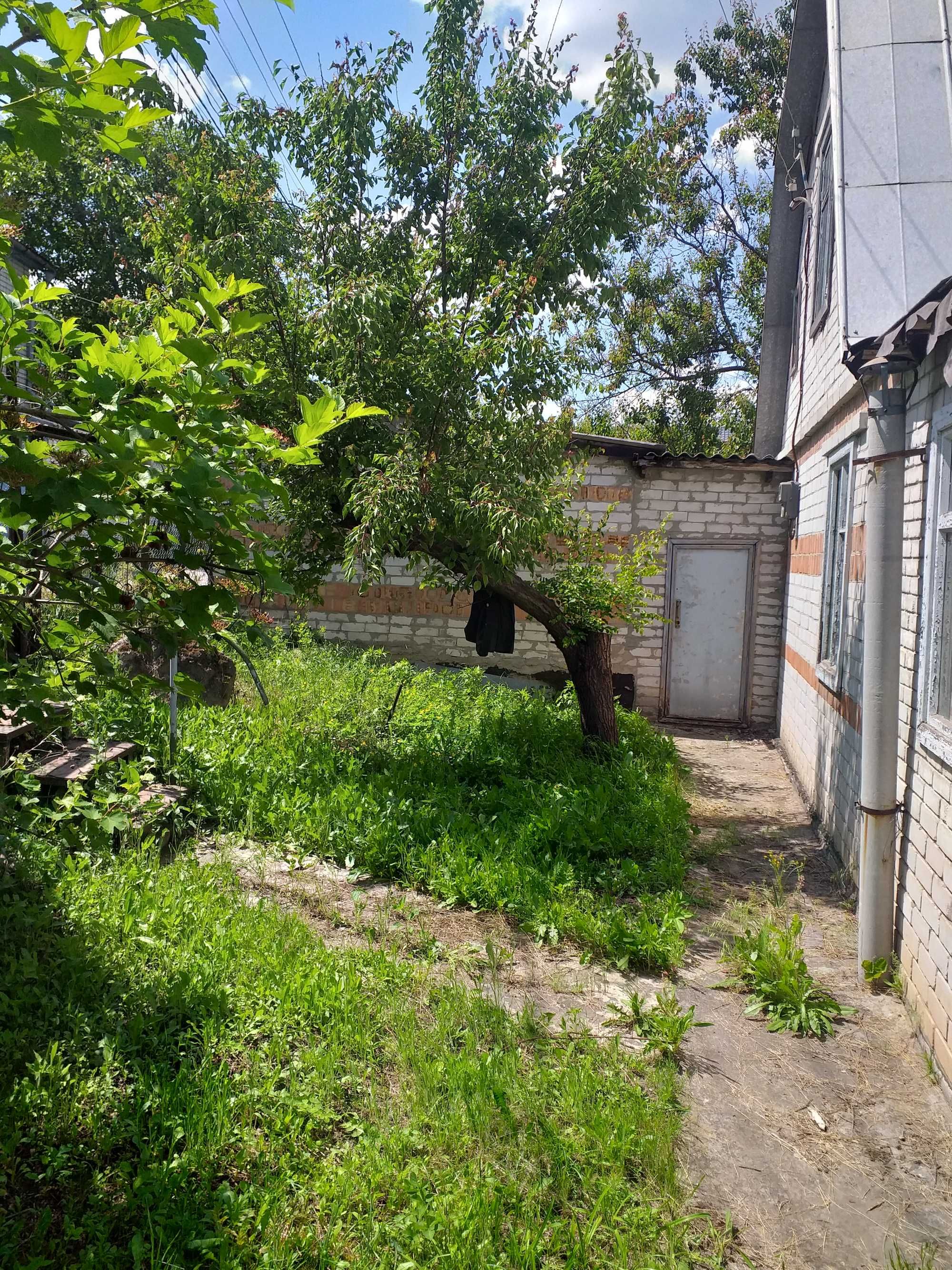 Дача, садовое тов. Чайка