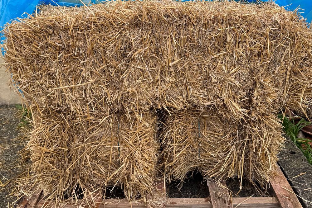 Fardos de palha de 2 tipos