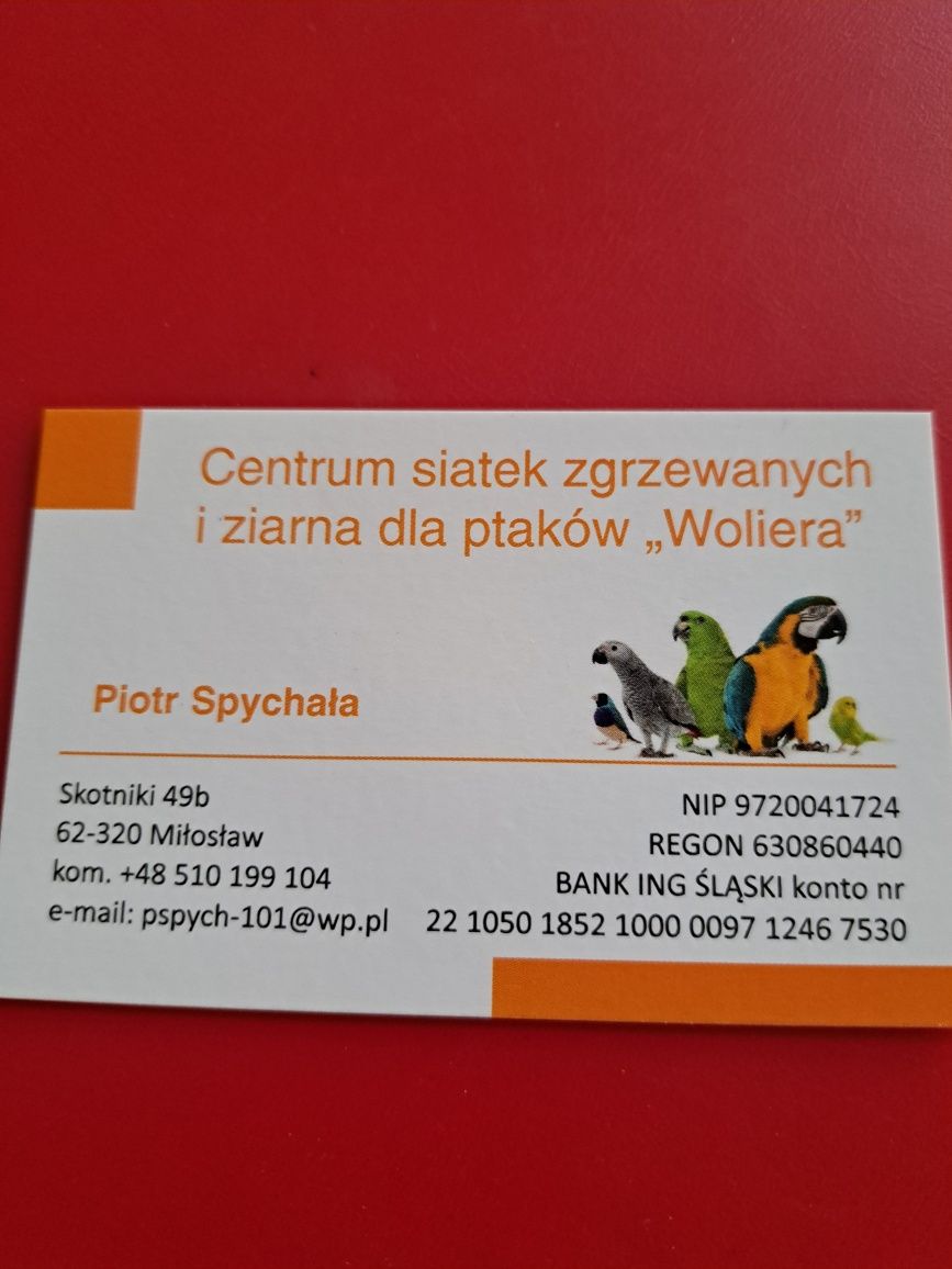 SEPIA NATURALNA DUŻA 18-22cm, 8zł/szt , 10szt za 80 zł papuga, żółwie