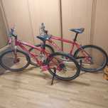 Велосипеди Specialized