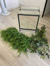 Terrarium 30x30x45cm + sztuczne roślinki