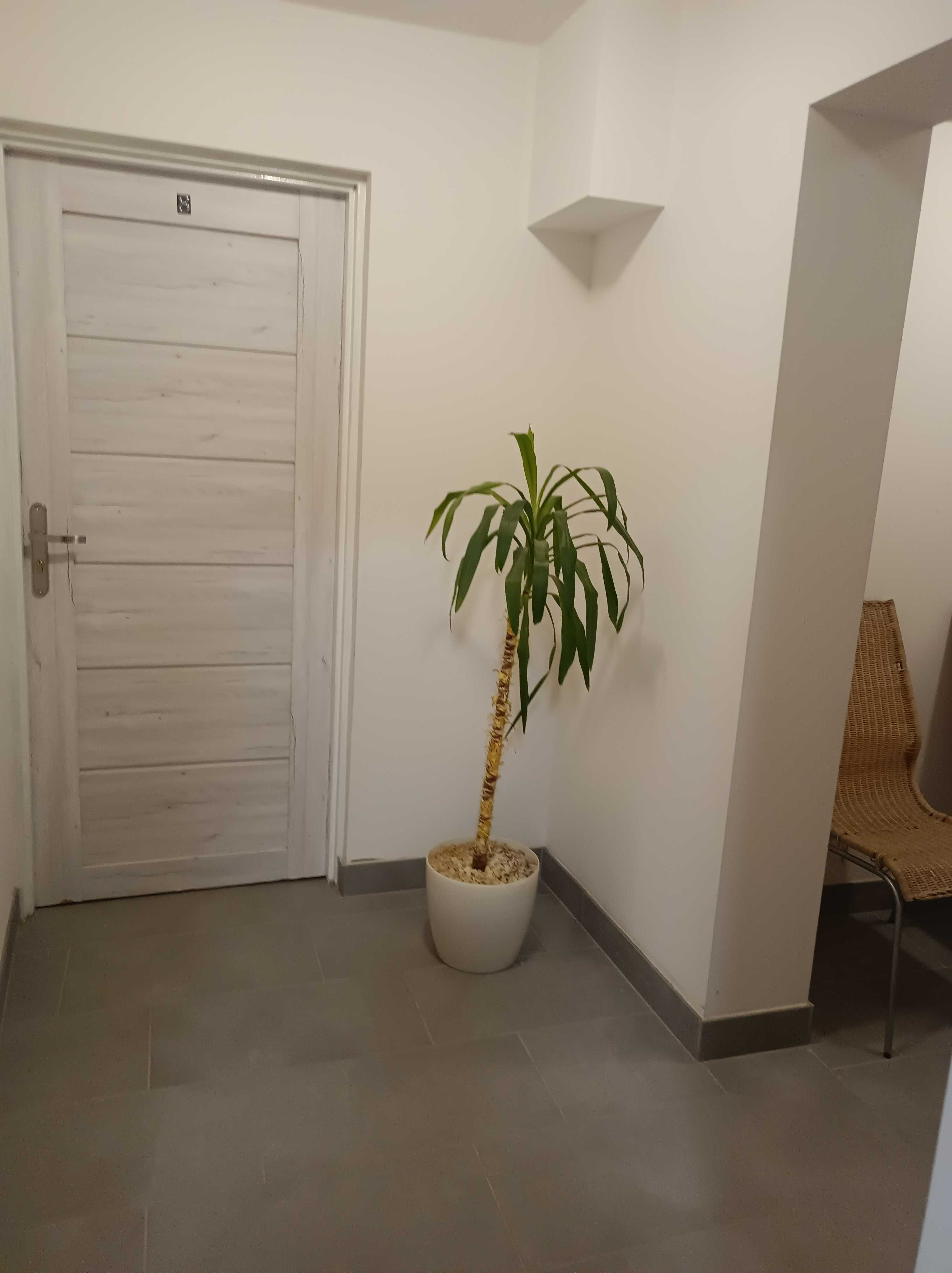 Pokoje gościnne, kwatery pracownicze.