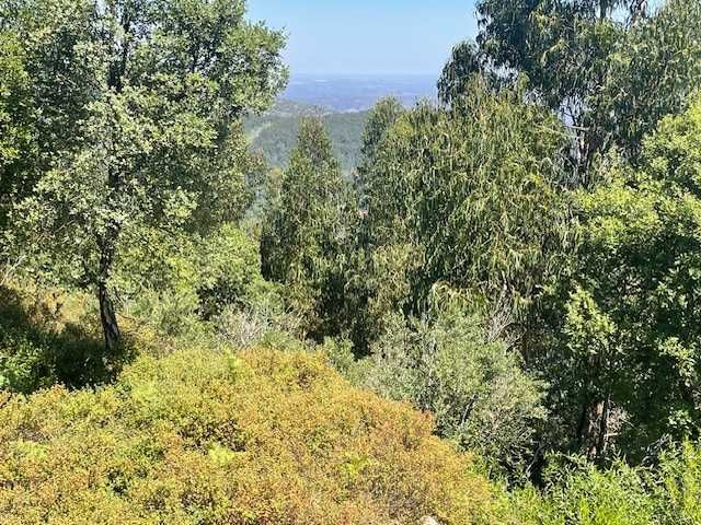 Terreno na Foia, Monchique