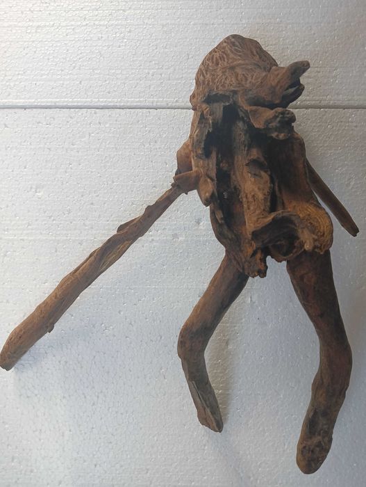 Коряга, топняк, декор в аквариум, тераріум середнього і більше розміру