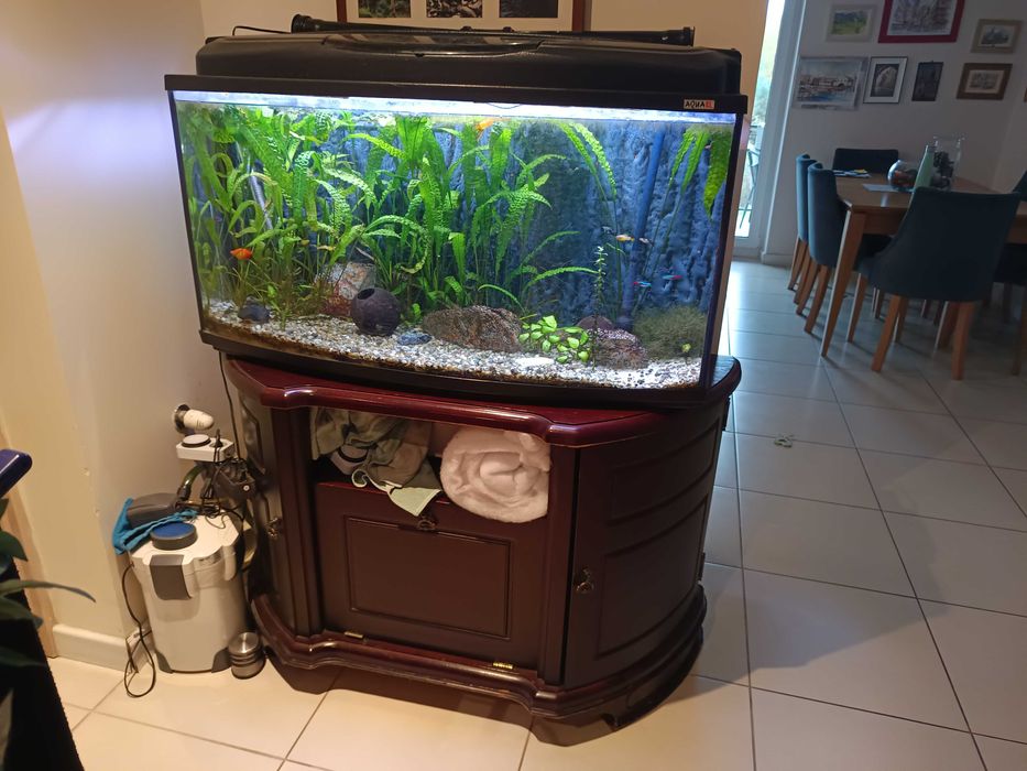 Akwarium 200l pełne wyposażenie.