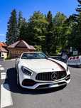 Mercedes-Benz AMG GT Niski przebieg, stan idealny, maksymalnie doposażony, pakiet carbon