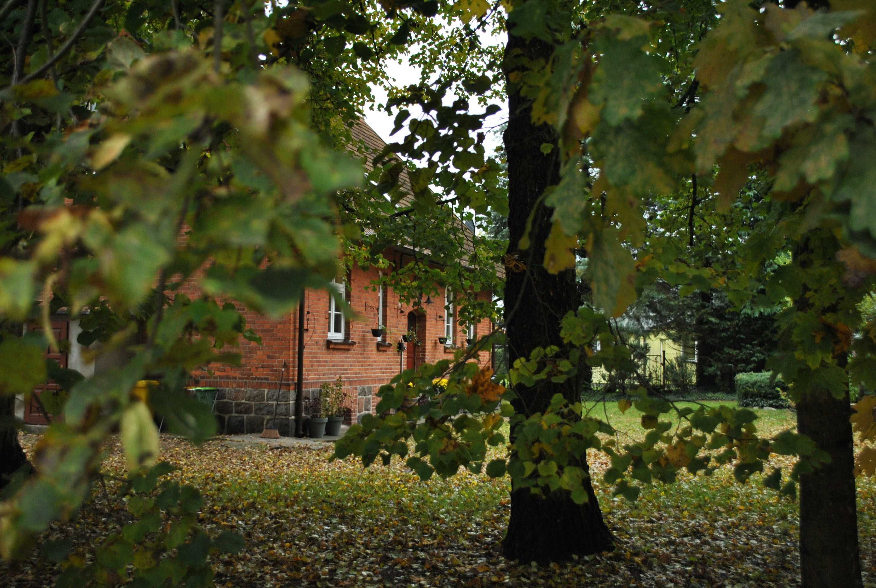 Dom z balią na wyłączność dla 9 osób, Mazury, Spychowo