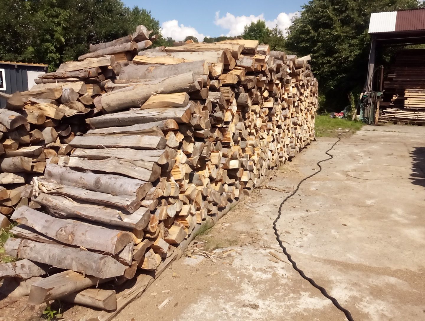 drewno kominkowe drzewo opałowe buk brzoza